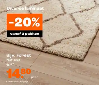 Kwantum Laminaat Forest aanbieding