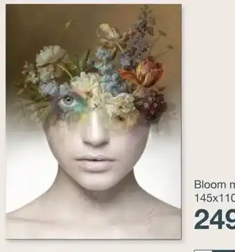IN.HOUSE Bloom multi aanbieding