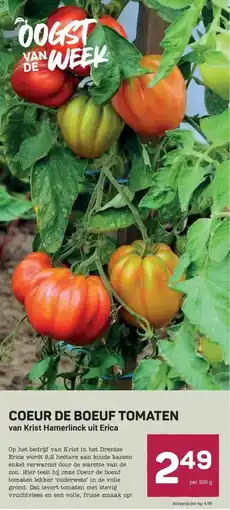 Ekoplaza COEUR DE BOEUF TOMATEN aanbieding