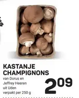 Ekoplaza KASTANJE CHAMPIGNONS aanbieding