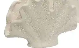 Coppelmans 1. Koraal vaas 15cm breed aanbieding