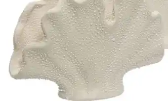Coppelmans 1. Koraal vaas 15cm breed aanbieding