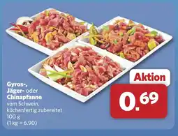 Combi Gyros-, Jäger- oder Chinapfanne aanbieding