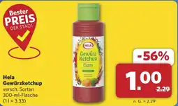 Combi Hela Gewürzketchup aanbieding