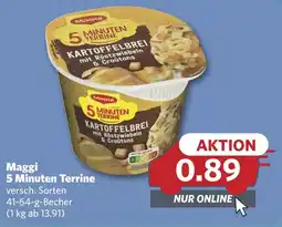Combi Maggi 5 Minuten Terrine aanbieding
