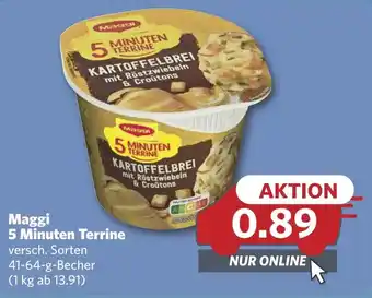 Combi Maggi 5 Minuten Terrine aanbieding