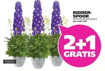 Ranzijn Ridder spoor aanbieding
