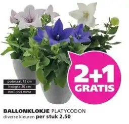 Ranzijn Ballonklokje aanbieding