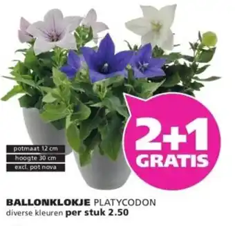 Ranzijn Ballonklokje aanbieding