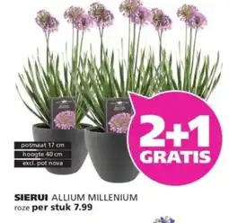 Ranzijn SIERUI aanbieding