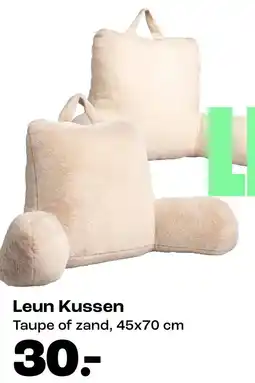 Kwantum Leun Kussen aanbieding