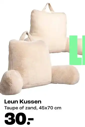Kwantum Leun Kussen aanbieding