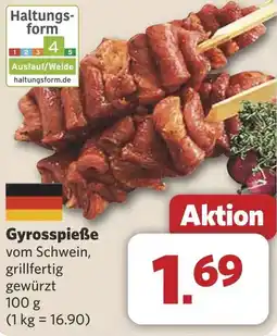 Combi Gyrosspieße aanbieding