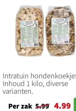 Intratuin Intratuin honden koekjes aanbieding