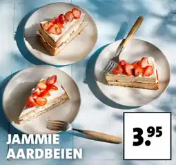 Intratuin Aardbei zomertaart aanbieding