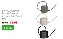 Intratuin Everydays gieter Ancho aanbieding