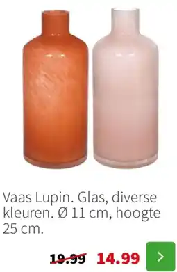 Intratuin Vaas lupin glas aanbieding