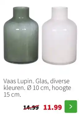Intratuin Vaas lupin glas aanbieding