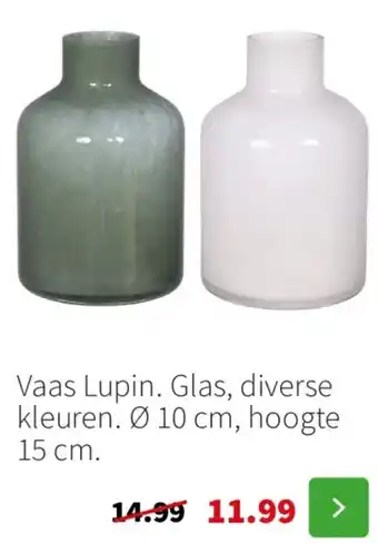 Intratuin Vaas lupin glas aanbieding