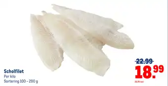 Makro Scholfilet aanbieding