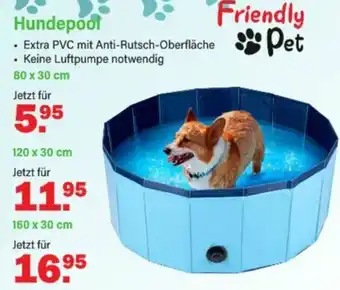Van Cranenbroek Hundepool aanbieding