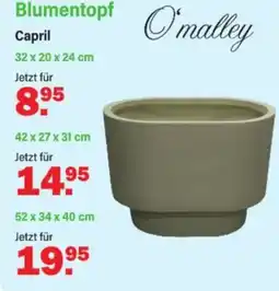 Van Cranenbroek O'malley Blumentopf Capril aanbieding