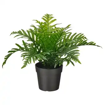 IKEA Fejka Kunstplant, binnen/buiten Eikvaren, 9 cm aanbieding