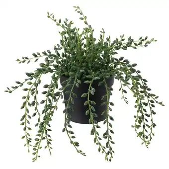 IKEA Fejka Kunstplant, binnen/buiten Kruiskruid, 9 cm aanbieding