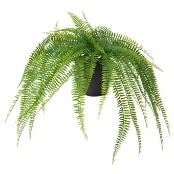 IKEA Fejka Kunstplant, binnen/buiten hangend/varen, 12 cm aanbieding