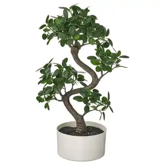 IKEA Fejka Kunstplant met pot, binnen/buiten bonsai, 16 cm aanbieding