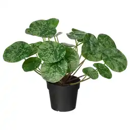 IKEA Fejka Kunstplant, binnen/buiten Pannenkoekenplant, 9 cm aanbieding