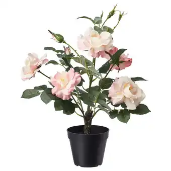 IKEA Fejka Kunstplant, binnen/buiten/roos roze, 12 cm aanbieding