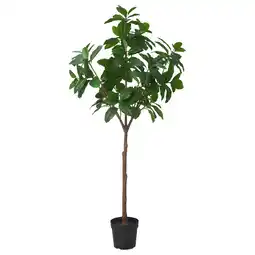 IKEA Fejka Kunstplant, binnen/buiten Magnolia, 23 cm aanbieding