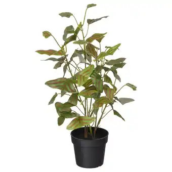 IKEA Fejka Kunstplant, binnen/buiten Vlinderbladplant, 9 cm aanbieding
