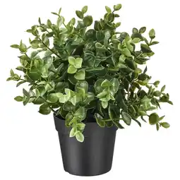 IKEA Fejka Kunstplant, oregano, 9 cm aanbieding