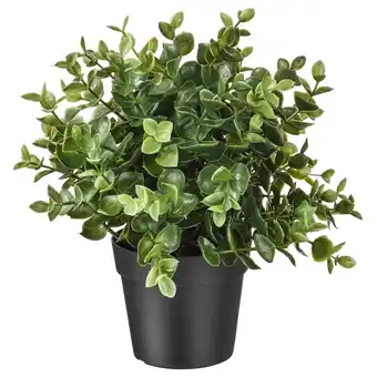IKEA Fejka Kunstplant, oregano, 9 cm aanbieding