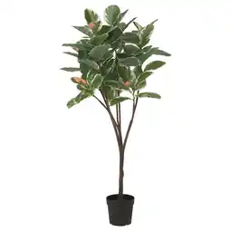 IKEA Fejka Kunstplant, binnen/buiten Rubberboom, 23 cm aanbieding