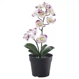 IKEA Fejka Kunstplant, binnen/buiten Orchidee/licht roodpaars, 9 cm aanbieding