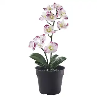 IKEA Fejka Kunstplant, binnen/buiten Orchidee/licht roodpaars, 9 cm aanbieding