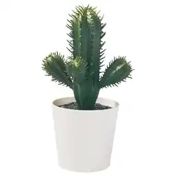 IKEA Fejka Kunstplant, binnen/buiten Cactus, 6 cm aanbieding