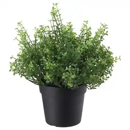 IKEA Fejka Kunstplant, binnen/buiten Slaapkamergeluk, 9 cm aanbieding