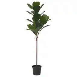 IKEA Fejka Kunstplant, binnen/buiten tabaksplant, 19 cm aanbieding