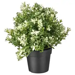 IKEA Fejka Kunstplant, tijm, 9 cm aanbieding