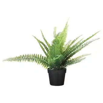 IKEA Fejka Kunstplant, binnen/buiten varen, 9 cm aanbieding
