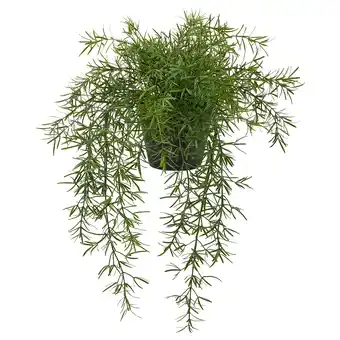 IKEA Fejka Kunstplant, binnen/buiten Asparagus/hangend, 12 cm aanbieding