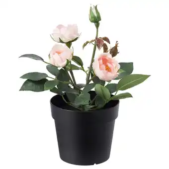 IKEA Fejka Kunstplant, binnen/buiten/roos roze, 9 cm aanbieding