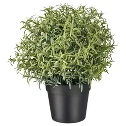 IKEA Fejka Kunstplant, Rozemarijn, 9 cm aanbieding