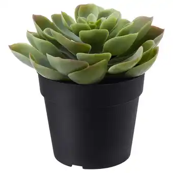 IKEA Fejka Kunstplant, binnen/buiten Succulent, 9 cm aanbieding