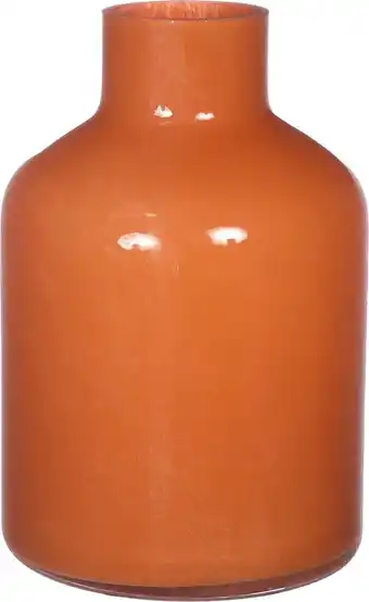 Intratuin Vaas Lupin oranje 10 x 10 x 15 cm aanbieding