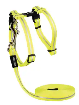 Pets Place Rogz Alleycat Tuigje Met Looplijn - Kattenharnas - Dayglo 24-40 Cm aanbieding